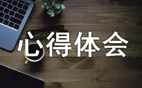 中学社会实践个人心得体会