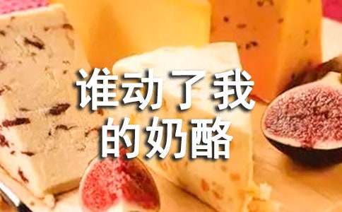 谁动了我的奶酪读后感【热】