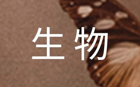 《生物入侵者》教学反思(集锦15篇)