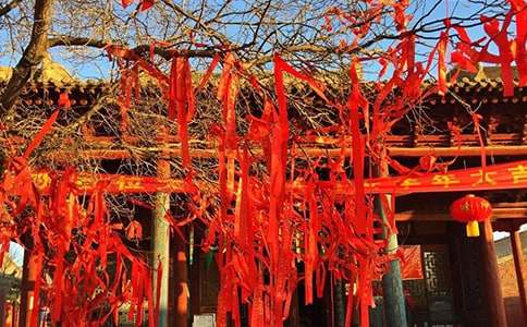 中国的传统节日小学生作文