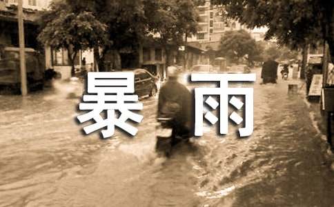 暴雨应急预案合集15篇