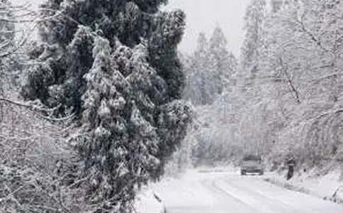 暴雪寒潮天气应急预案