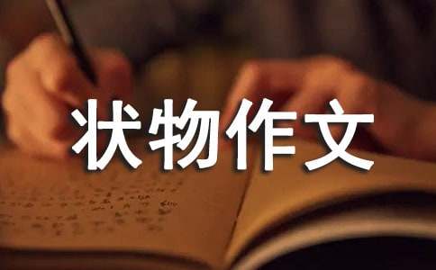 四年级状物作文300字汇总五篇