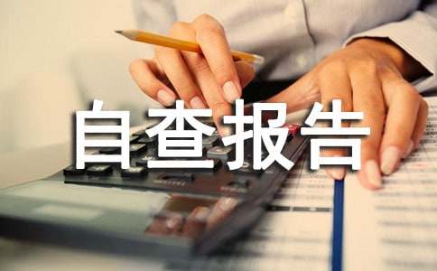 热门企业自查报告