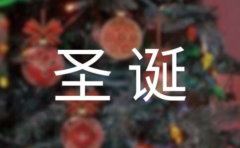 【精品】圣诞派对作文300字4篇