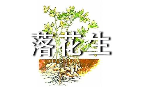 教学设计:落花生