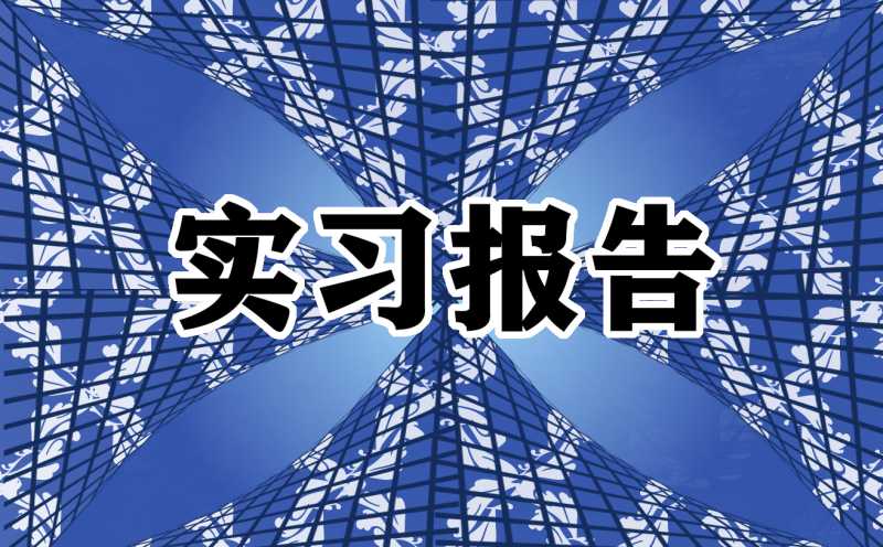 专业毕业生个人实习报告标准版（10篇）