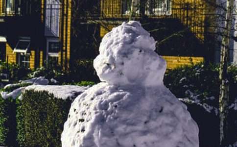 实用的冬天的雪景作文合集五篇