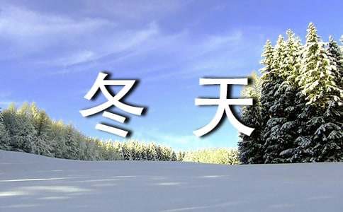 冬天的田野作文汇编四篇