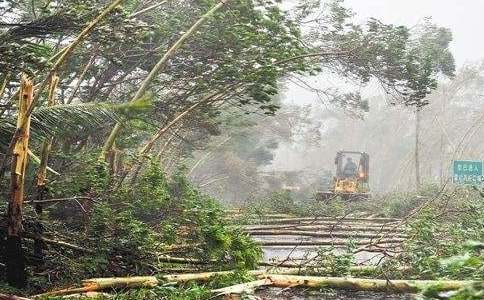 防台风暴雨应急预案完整版通用