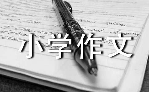 【实用】美丽小学作文400字4篇