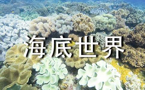 游青岛海底世界作文(共8篇)