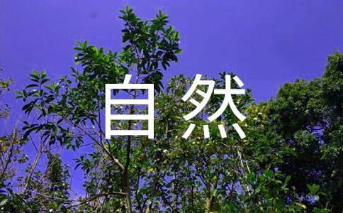 大自然的作文300字(精品3篇)