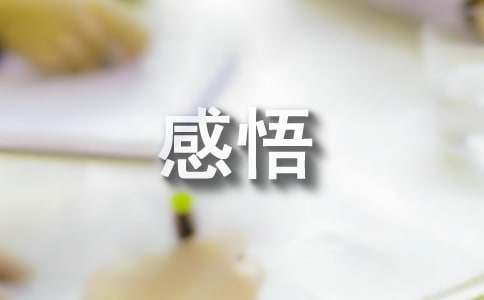 感悟15篇(合集)