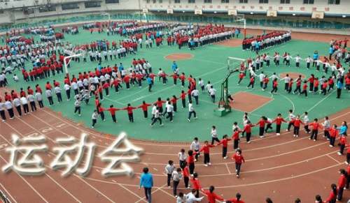 学校运动会活动总结[共15篇]