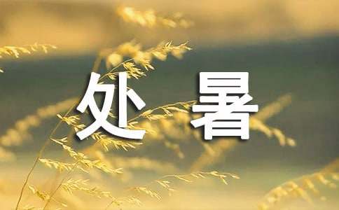 2023关于处暑感言（精选19篇）