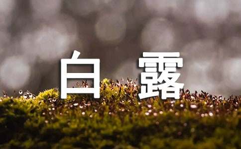 二十四节气之白露节气简介