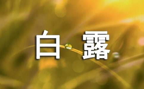 白露节气朋友圈文案280句