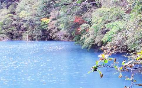 九寨沟五花海导游词（精选14篇）