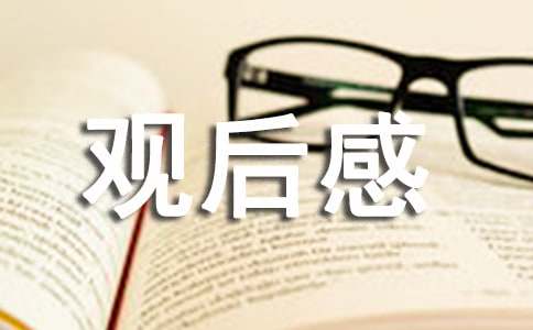 《新时代好队员》观后感（精选20篇）