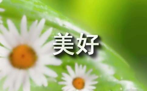 爱让生活更美好六年级作文范文600字（通用50篇）