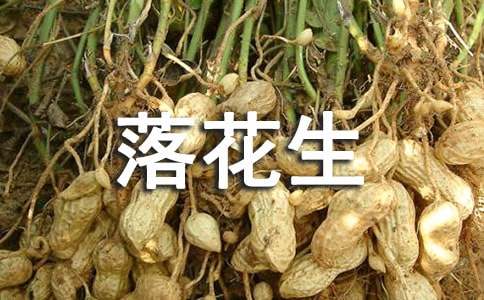 《落花生》的读后感600字（通用22篇）