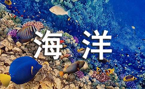 海洋作文400字（通用20篇）