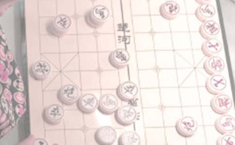 我爱下象棋小学作文400字（精选15篇）