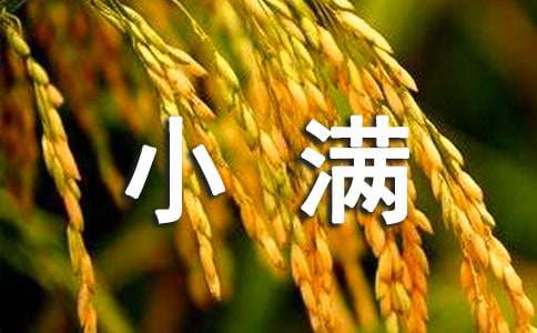 初一学生小满节气习俗的优秀作文