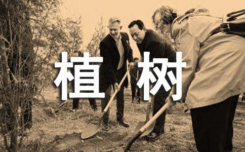 《走，我们去植树》原文