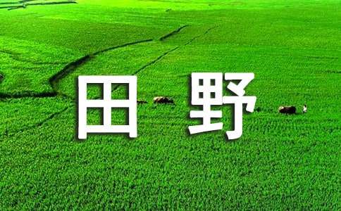 田野即景五年级上册作文500字（精选25篇）