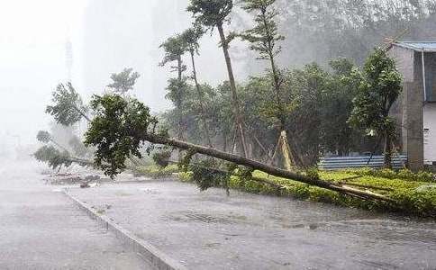 住宅小区防台风暴雨雷电应急预案（精选15篇）