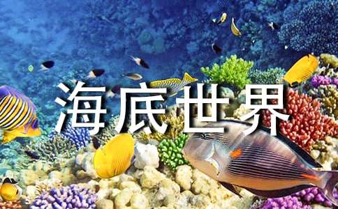 《海底世界》教学设计（精选11篇）