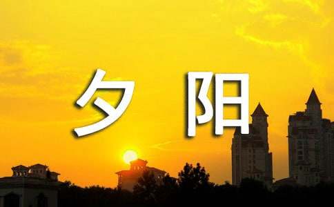 美丽的夕阳作文300字（精选32篇）