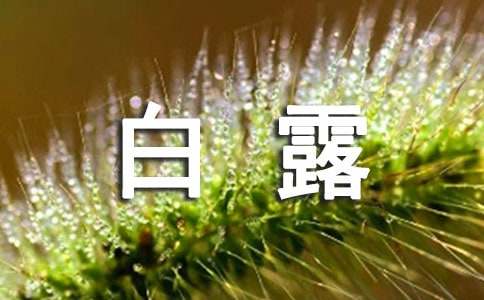 有关白露记叙文范文（精选15篇）