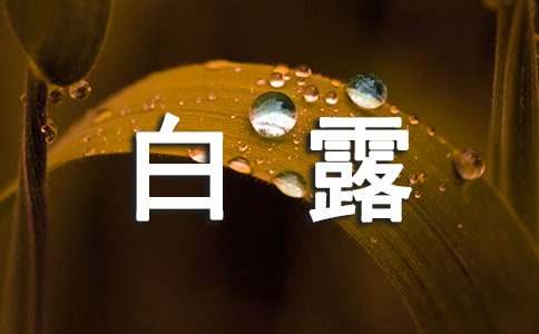 白露节日文案（精选210句）