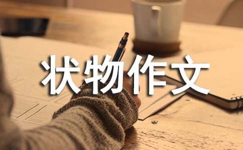 我的小陶罐状物作文550字（精选14篇）