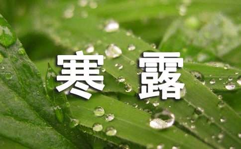 描写寒露节气的唯美诗句（精选120句）