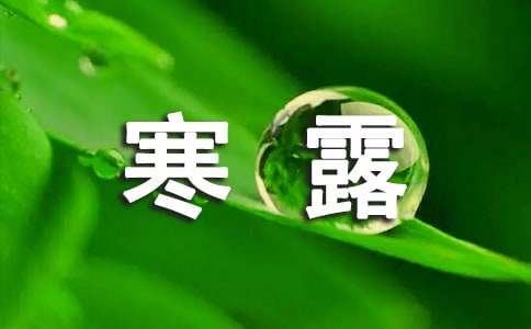 寒露节气诗句（精选120句）