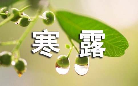 寒露节气经典诗句（精选120句）