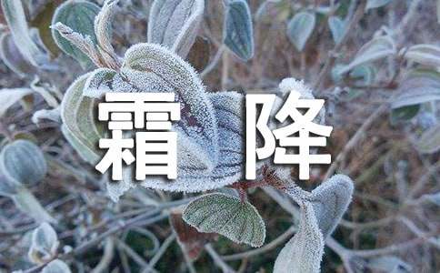 霜降节气朋友圈文案（精选680句）