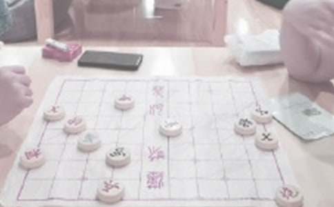 爷爷孙子象棋作文（精选15篇）