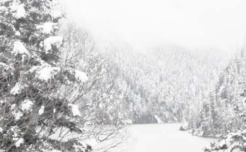 小区物业冬季清雪的应急预案（精选13篇）