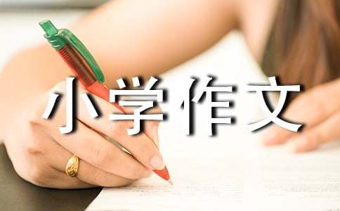 一次有趣的尝试小学作文400字（通用28篇）