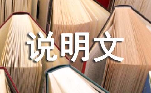 物品说明文作文600字（精选20篇）