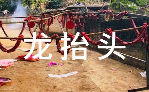 唯美龙抬头祝福感言230句