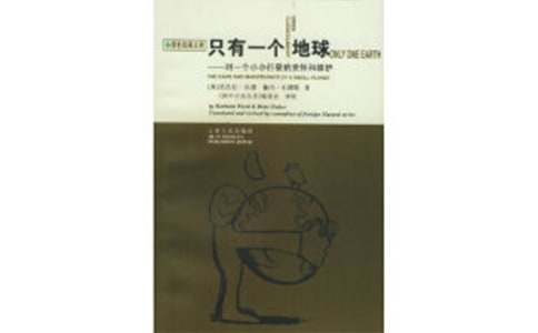 小学语文六年级上册《只有一个地球》教师教学反思（通用12篇）