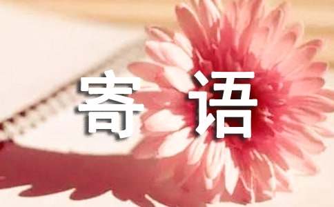 小年送女神的温暖寄语（精选260句）