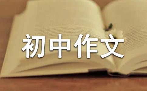 天使的翅膀初中作文650字